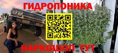 МДПВ Нальчик